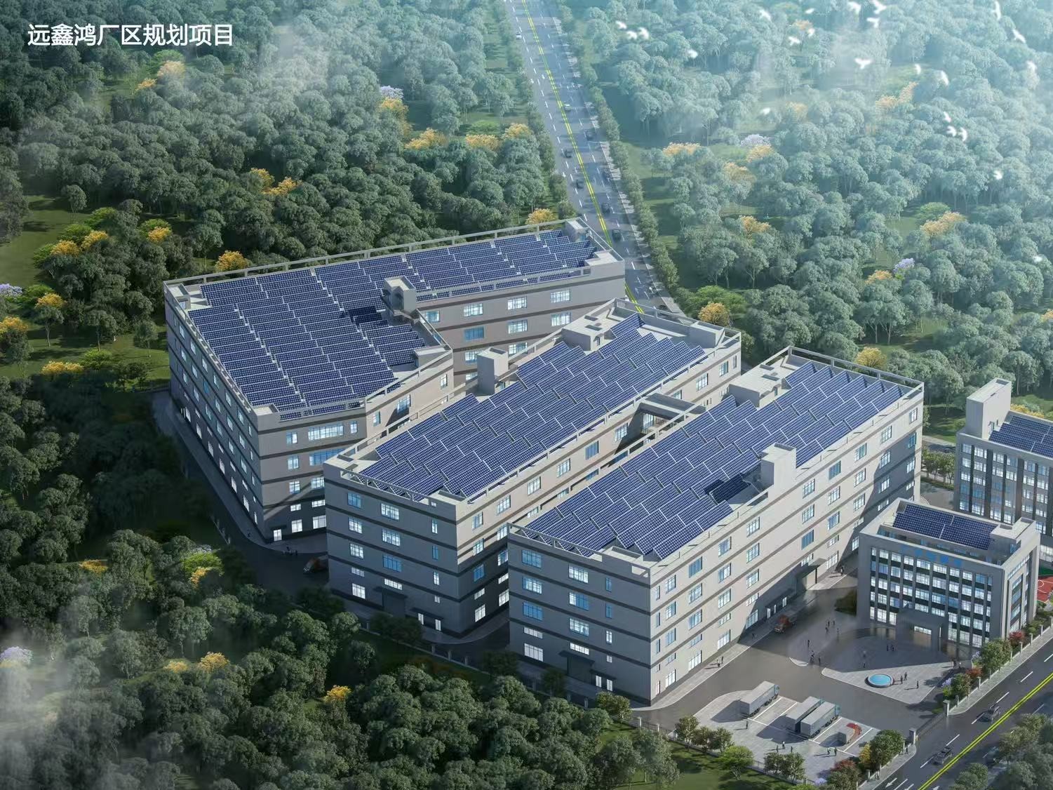 2024年